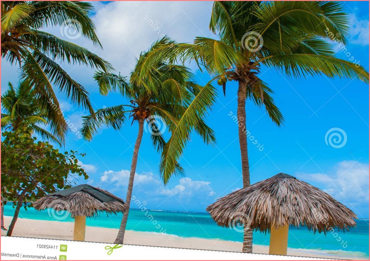 Пляжный рай Куба - пляжи мечты Карибского бассейна Местные жители здесь очень гостеприимны